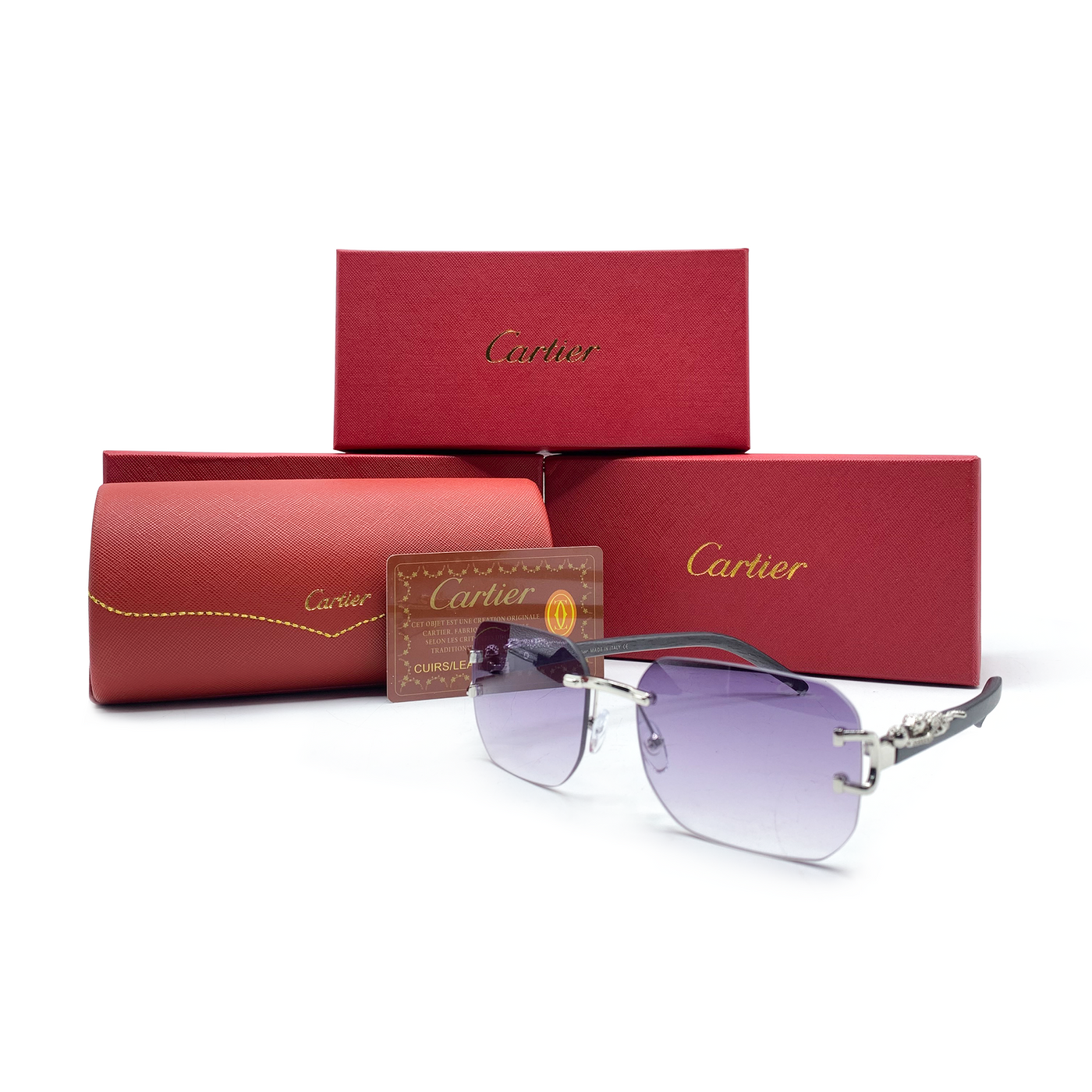 Cartier CT0046S Sunglasses